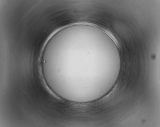 X0000103241100200808281027