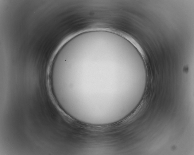X0000103241101200808281027