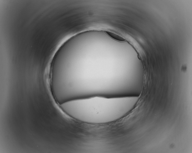 X0000103241103200808281027