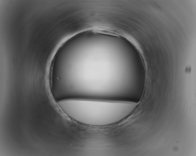 X0000103241104200808281027