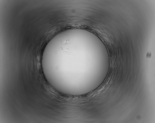 X0000103241106200808281026