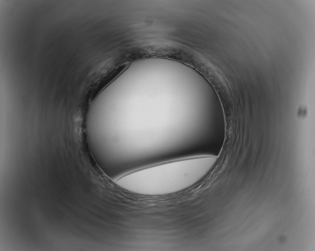X0000103241108200808281026