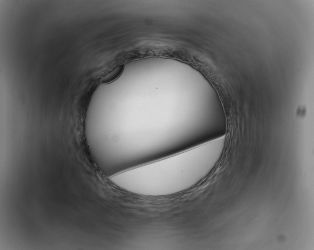 X0000103241109200808281026