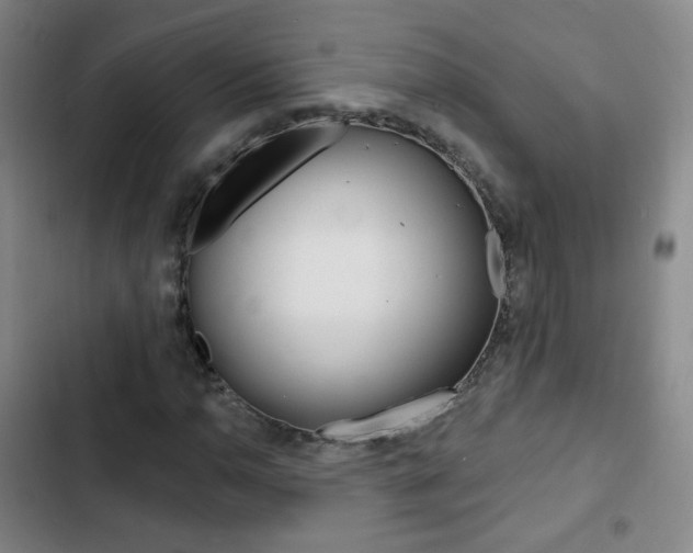 X0000103241110200808281026
