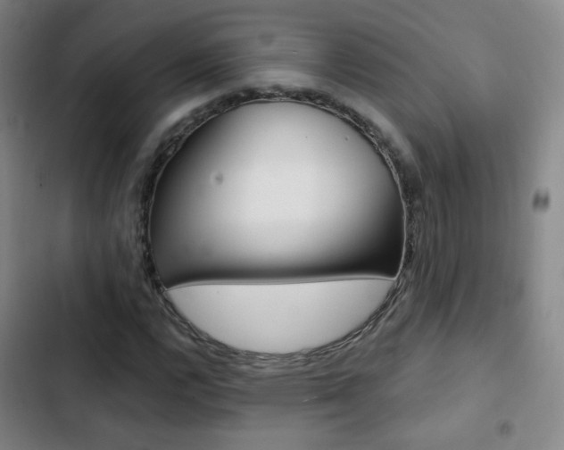 X0000103241112200808281026