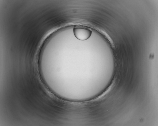 X0000103241114200808281026