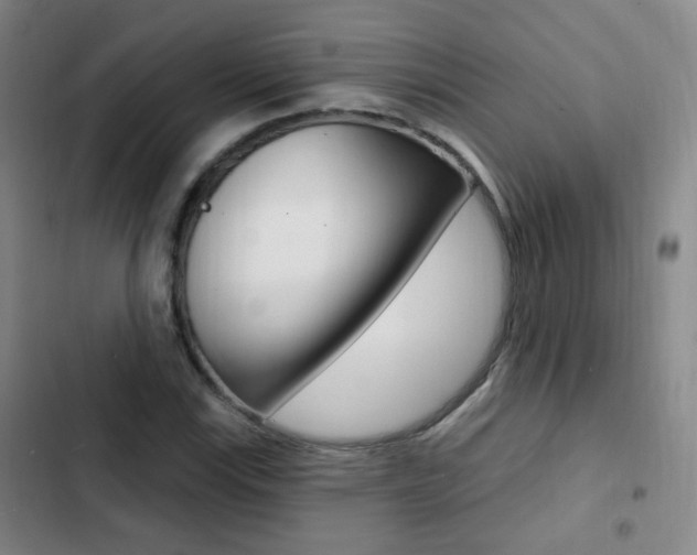 X0000103241115200808281026