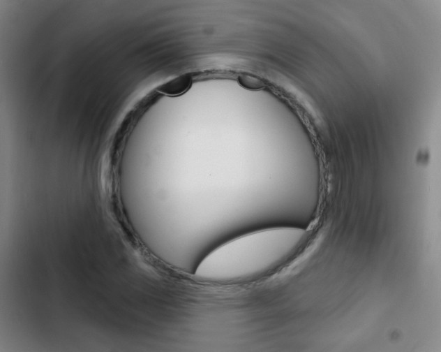 X0000103241117200808281026