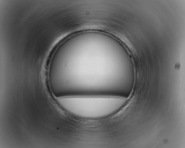X0000103241119200808281026