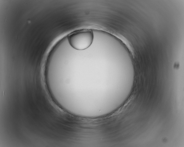 X0000103241120200808281027