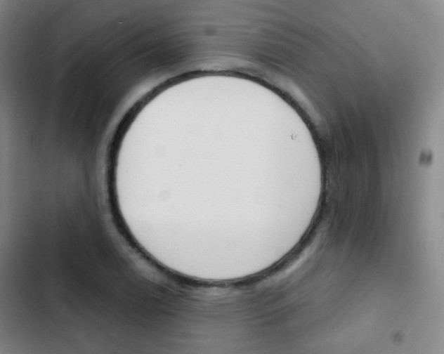 X0000103241122200808281027