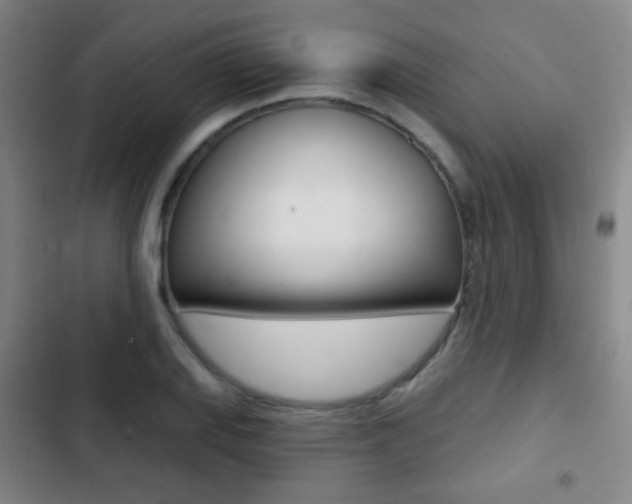 X0000103241127200808281027