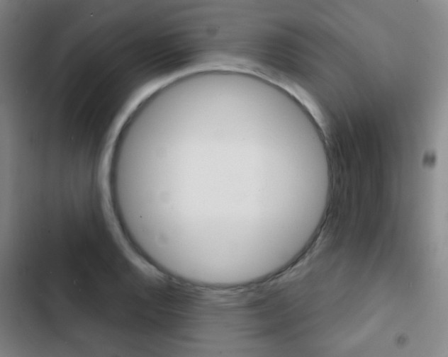 X0000103241128200808281027