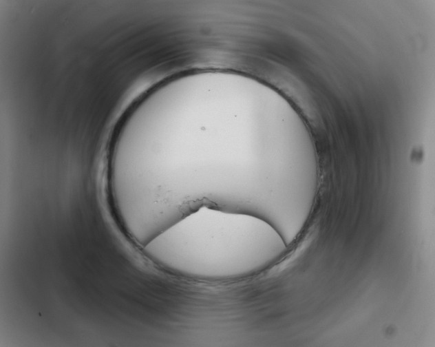 X0000103241130200808281027