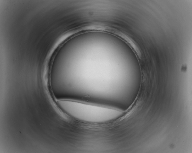 X0000103241131200808281027