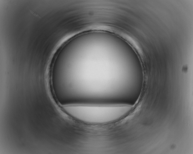 X0000103241133200808281027