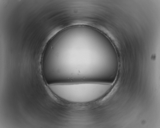 X0000103241137200808281027