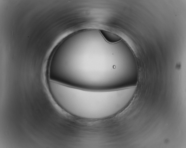X0000103241139200808281027
