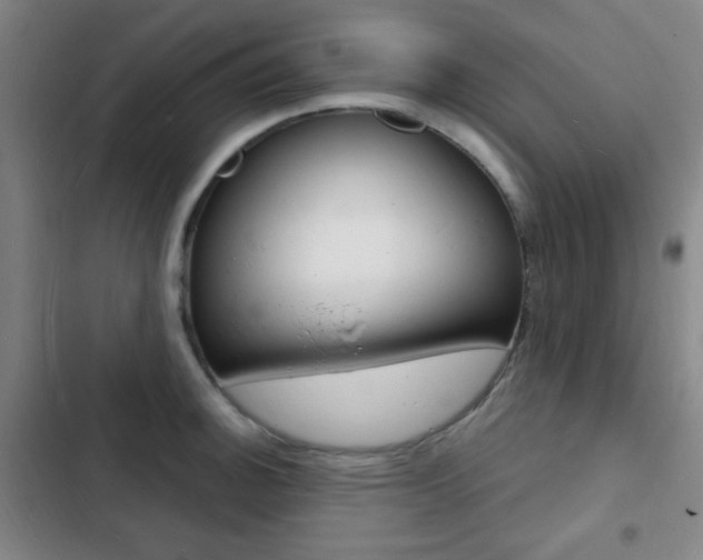 X0000103241140200808281027