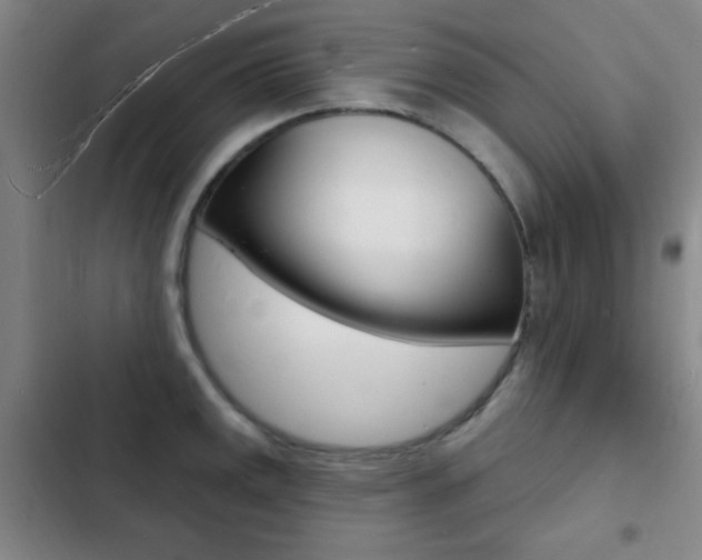 X0000103241141200808281027