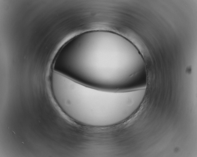 X0000103241142200808281027