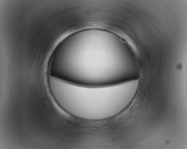 X0000103241143200808281027