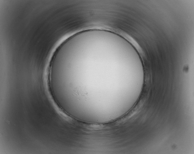 X0000103241144200808281027