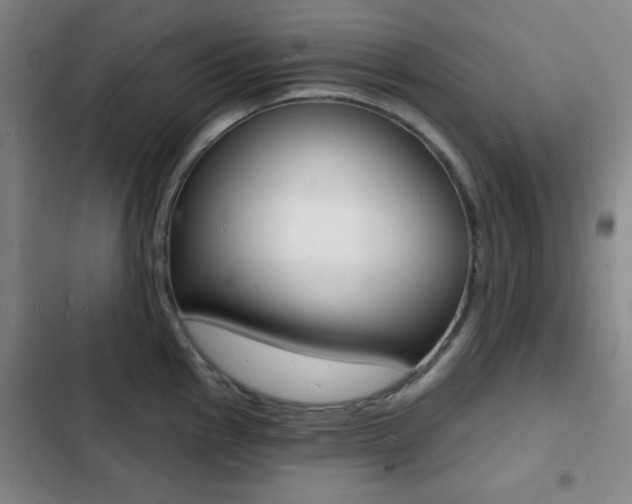 X0000103241145200808281027