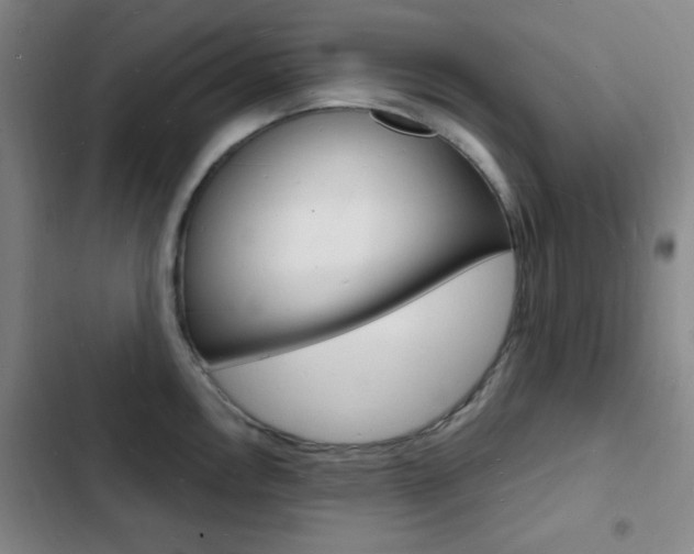 X0000103241146200808281027