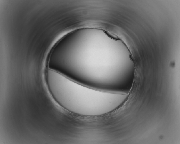 X0000103241147200808281027