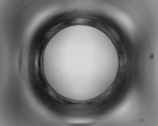 X0000103241150200808281027