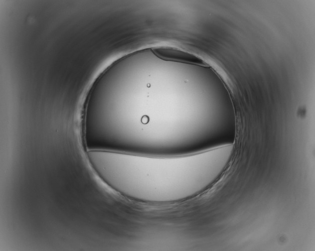 X0000103241151200808281027