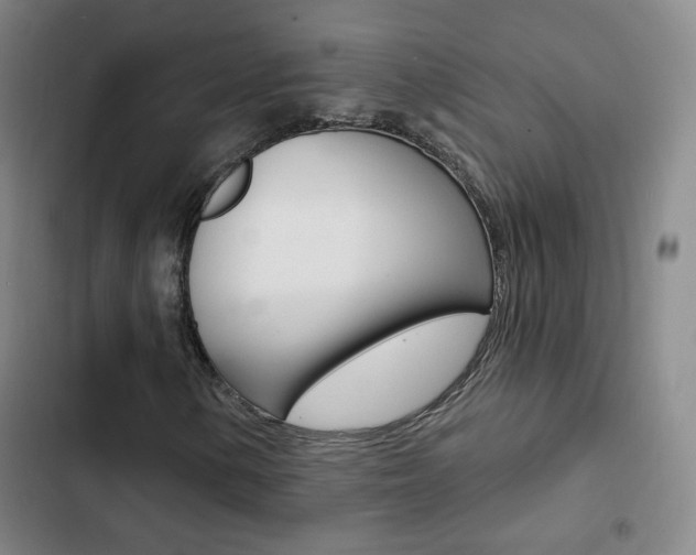X0000103241154200808281026