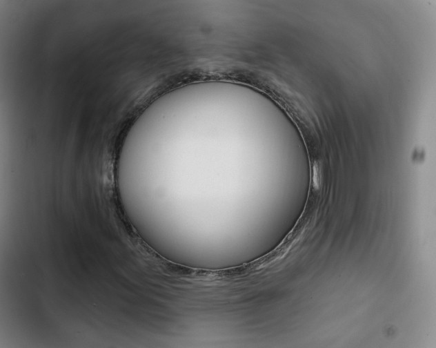 X0000103241155200808281026