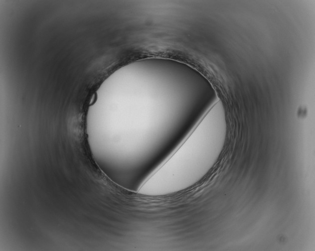 X0000103241156200808281026