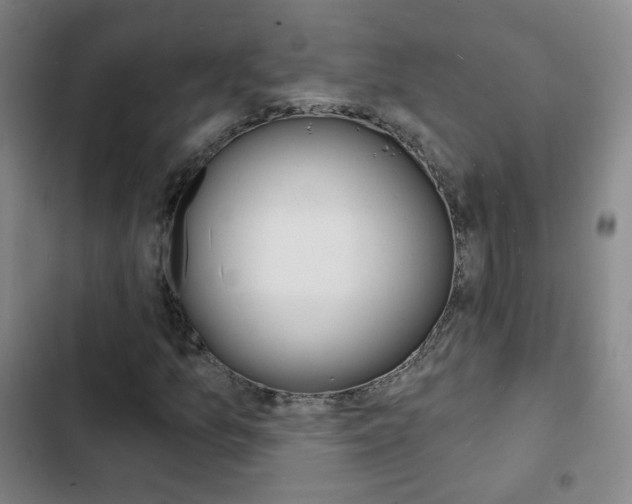 X0000103241157200808281026