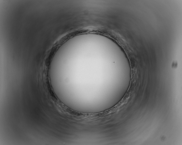 X0000103241158200808281026