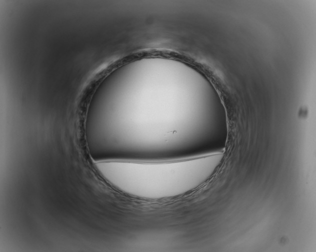 X0000103241159200808281026