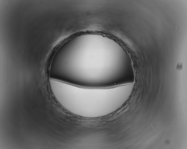 X0000103241160200808281026