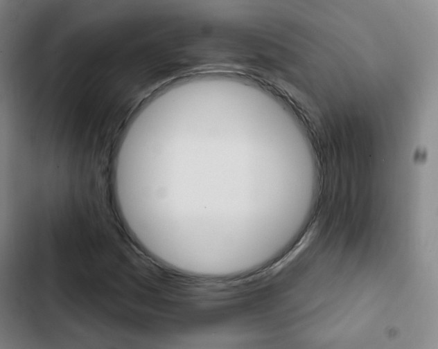 X0000103241161200808281026