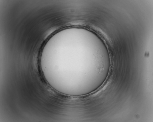 X0000103241162200808281026