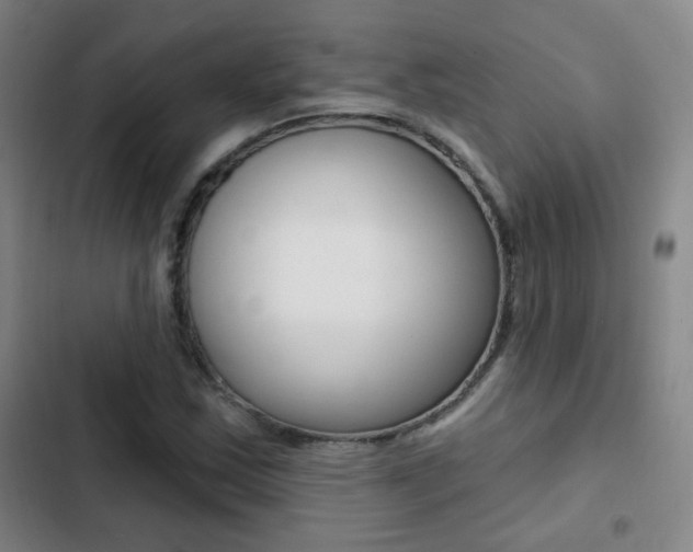 X0000103241163200808281026
