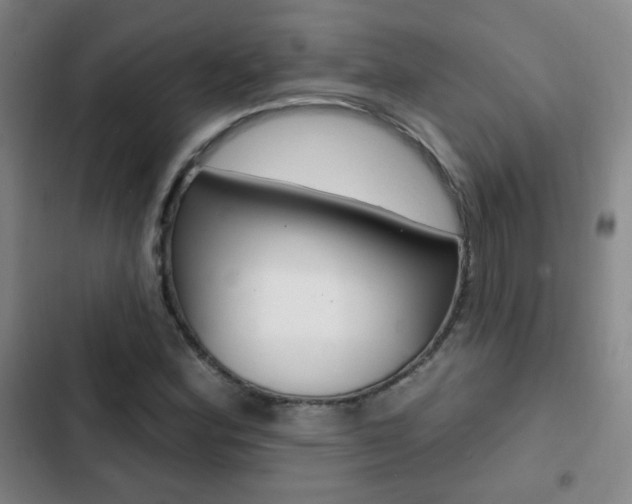 X0000103241164200808281026