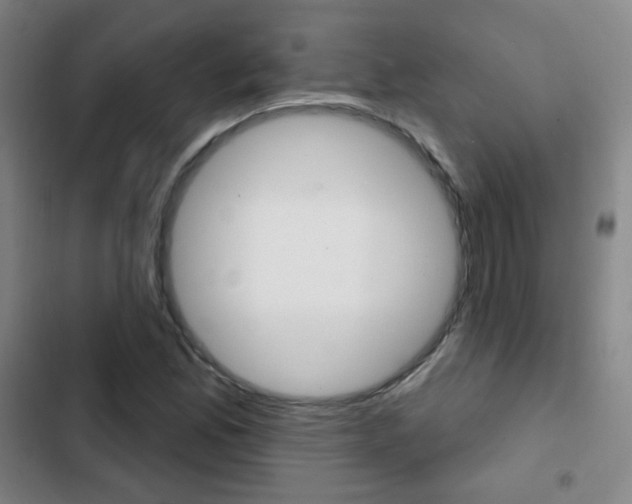 X0000103241165200808281026