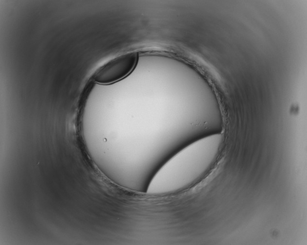 X0000103241166200808281026