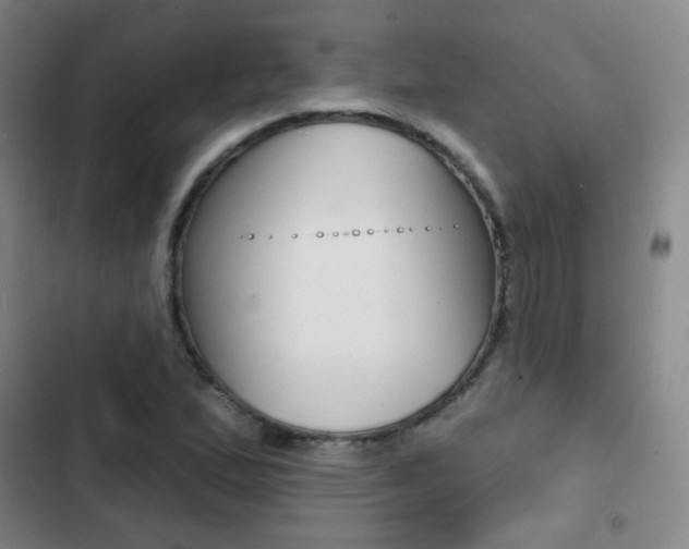 X0000103241167200808281026