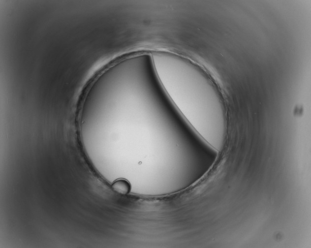 X0000103241168200808281026
