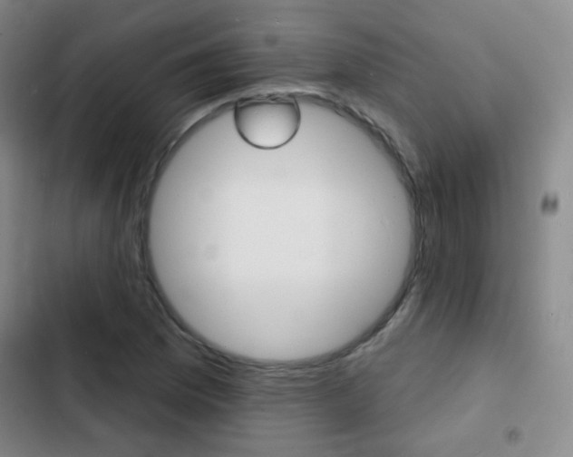 X0000103241169200808281026