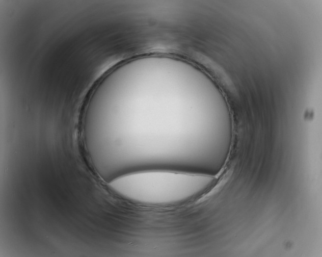 X0000103241170200808281026