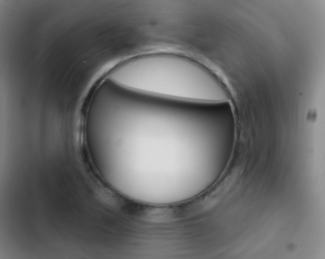 X0000103241171200808281026